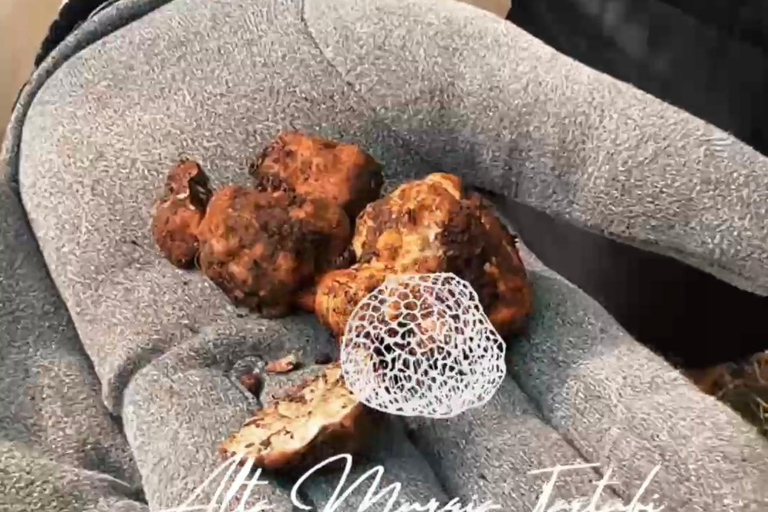 Trüffelsuche mit Verkostung in der Alta Murgia