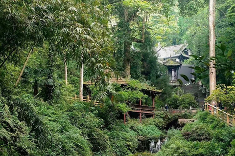 Chengdu: Qingcheng Mountain Entry Ticket & Digital Guide Chengdu: Mount Qingcheng Back Mountain Ticket & Digital Guide