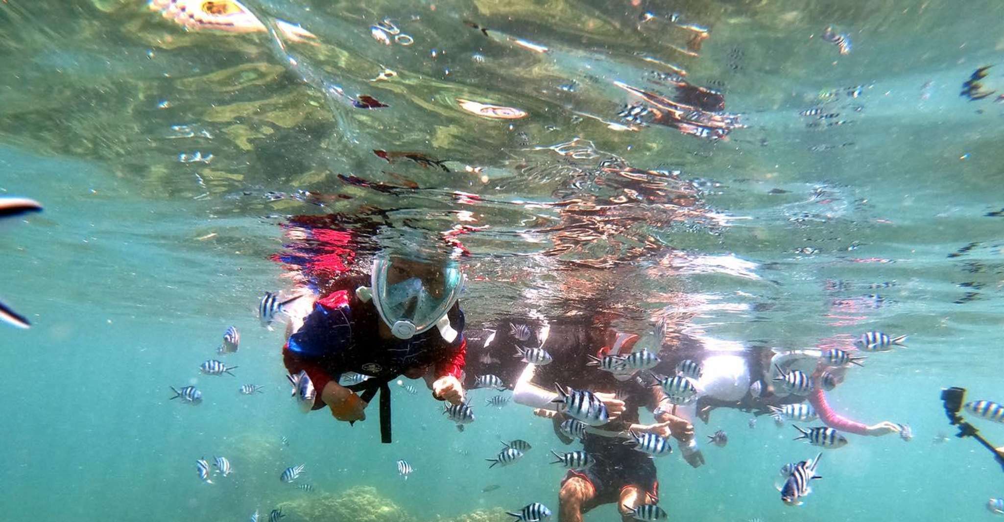 Von Phuket, Phi Phi, Maya Bay, & Khai Inseln Premium-Reise - Hizvo