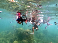 Desde Phuket, Phi Phi, Maya Bay, & Khai Islands Premium Trip - Hizvo