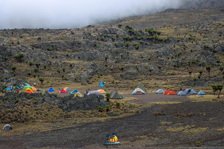 Mount Kenya: The Ultimate ChallengeClimbing Mount Kenya: The Ultimate Challenge