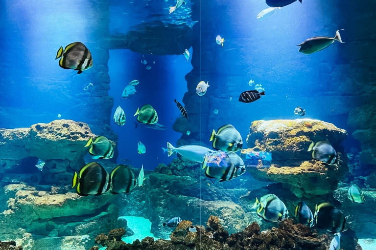 Aquarium de Paris: dagticket