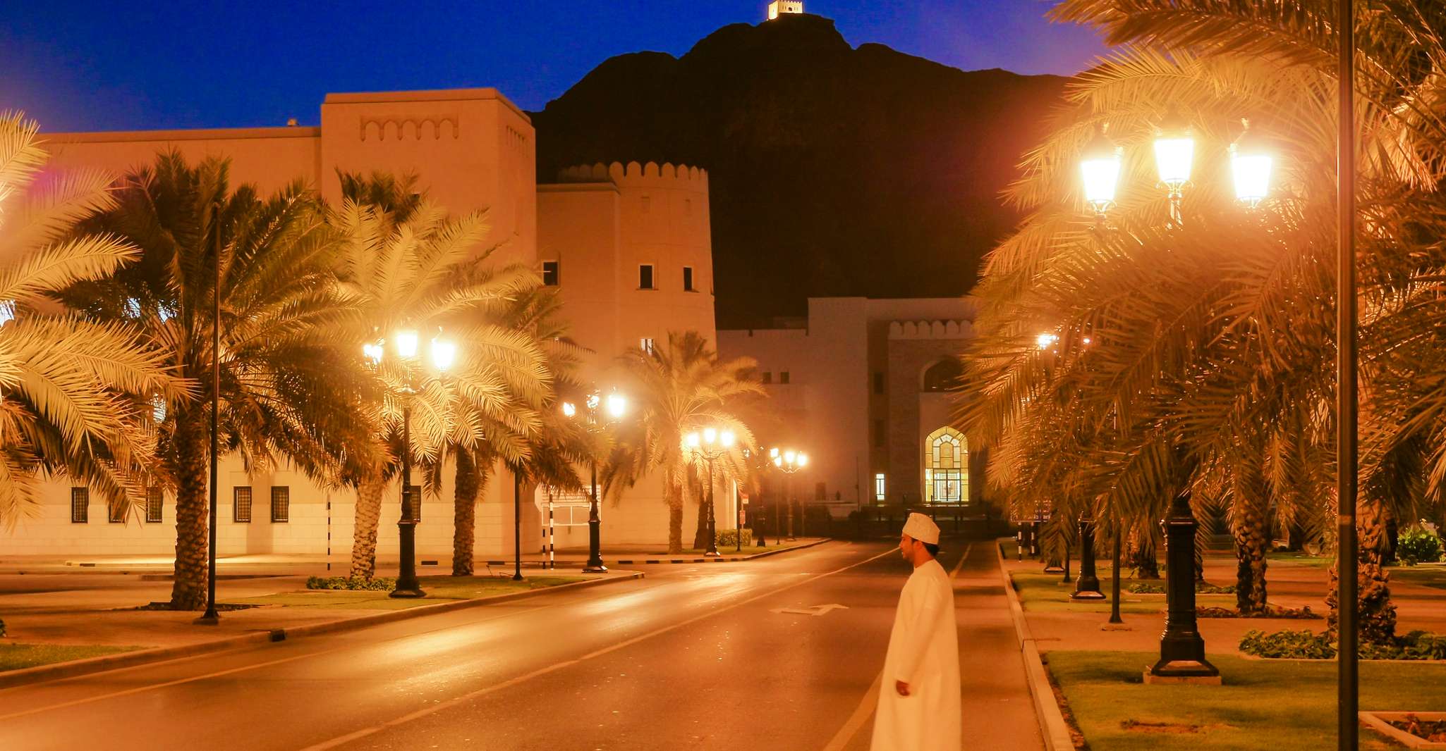 Muscat, Evening Guided City Highlights Tour by Van - Housity