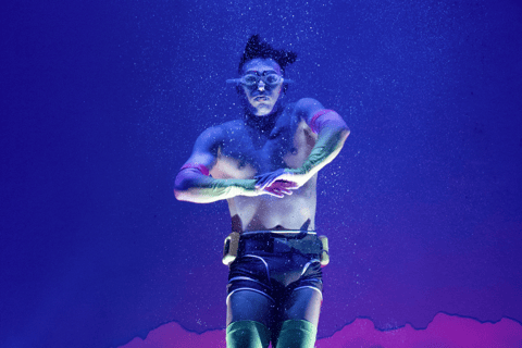 Cirque du Soleil LUDÕ — Vallarta Premium Balcony Experience: Show, Champagne, and Canapés