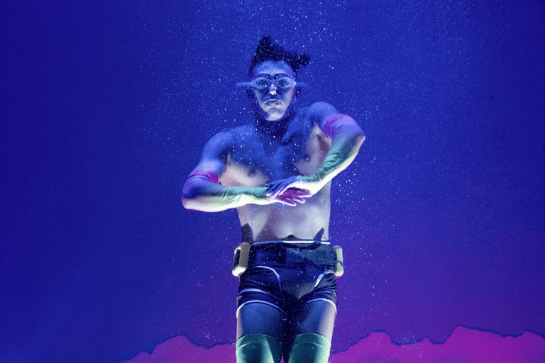 Cirque du Soleil LUDÕ — Vallarta Premium Balcony Experience: Show, Champagne, and Canapés