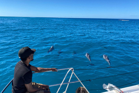 Oahu: Waikiki Turtle Canyon Snorkeling Tour (Small group) Waikiki: Sea Turtle Snorkel (Small group 20 People Max)