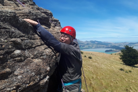 Christchurch: Klettern mit Guide, Mittagessen und TransportAbholung vom Treffpunkt am Canterbury Museum