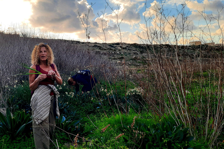 Gozo al Descubierto: Senderismo guiado en Gozo - El OesteGozo al Descubierto: Tour guiado de senderismo por el oeste de Gozo