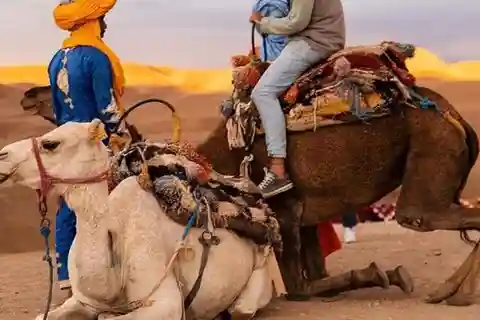 Marrakech: Agafay woestijn dinnershow met kamelenrit bij zonsondergang