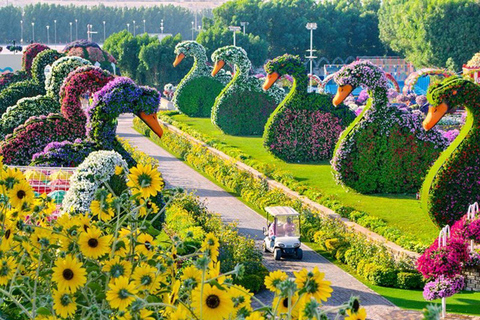 Dubai: Miracle Garden Tickets with Round-trip Transfer