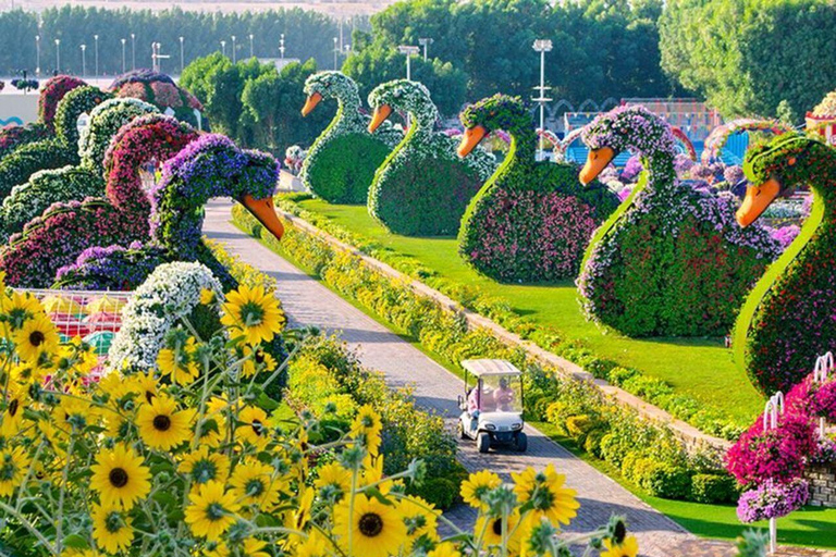 Dubai: Miracle Garden Tickets with Round-trip Transfer