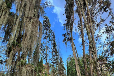 Medellín, Nature and Space: Visit the Botanical Garden and the Planetarium