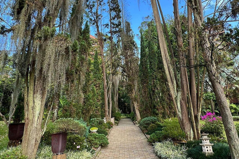 Medellín, Nature and Space: Visit the Botanical Garden and the Planetarium