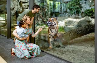 Berlin: Eintrittskarten für den größten Tierpark Europas