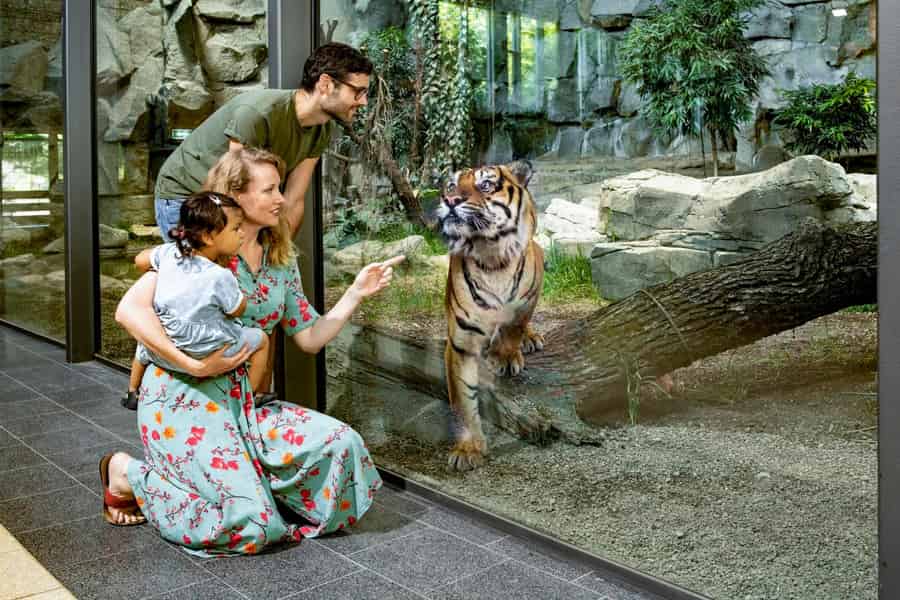 Berlin: Eintrittskarten für den größten Tierpark Europas. Foto: GetYourGuide Berlin: Eintrittskarten für den größten Tierpark Europas. Foto: GetYourGuide