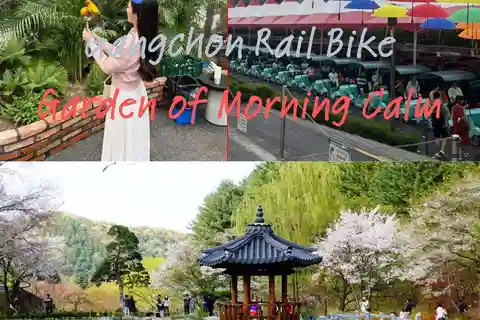 From Seoul: Begonia Bird Park, Rail Bike and Garden Tour