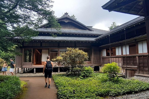 L&#039;avventura d&#039;élite di Nikko: Tour guidato privato