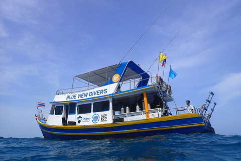 From Phi Phi: Half-Day Trip for Certified Divers (2 Dives) Afternoon Diving for Certified Divers (2 Dives)