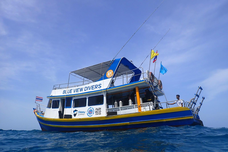 From Phi Phi: Half-Day Trip for Certified Divers (2 Dives) Afternoon Diving for Certified Divers (2 Dives)