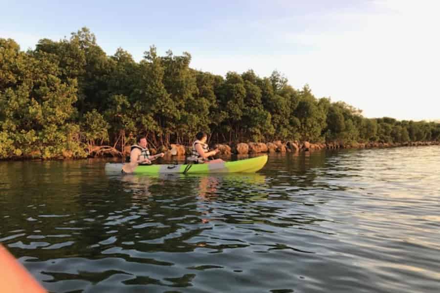 Fort Lauderdale: Kajaktour durch die Mangroven mit Guide. Foto: GetYourGuide