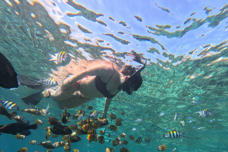 Lombok: Tour in barca delle isole Gili Nanggu, Sudak e Kedis