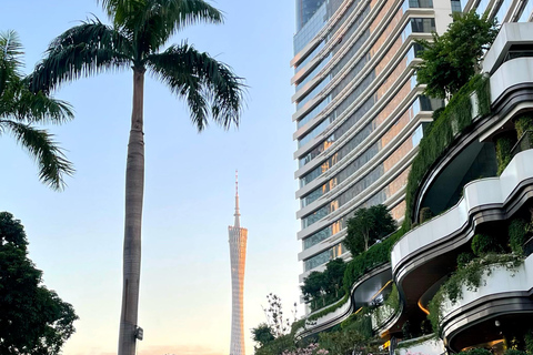 广州：现代化、市场、糖水、寺庙和小袋DIY西班牙语/法语/意大利语/日语/韩语/俄语导游