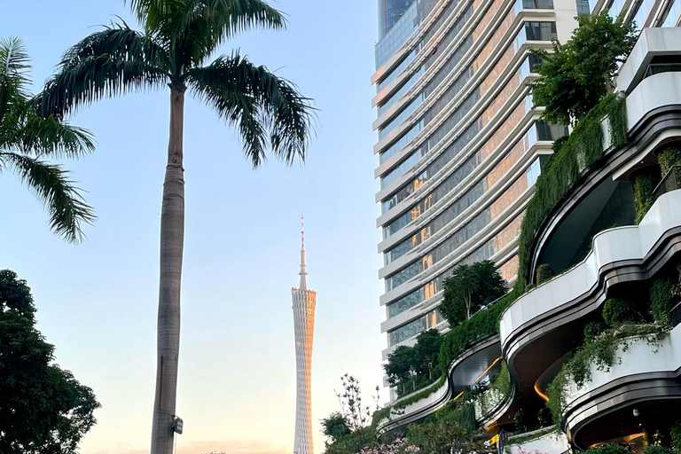 广州：现代化、市场、糖水、寺庙和小袋DIY西班牙语/法语/意大利语/日语/韩语/俄语导游