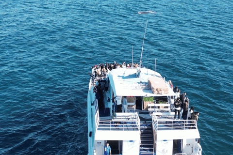 Broadwater Discovery Lunch Cruise met Spirit of Gold Coast