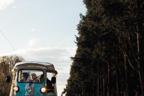Angers: Fahrt an den Ufern der Loire im elektrischen Tuk Tuk