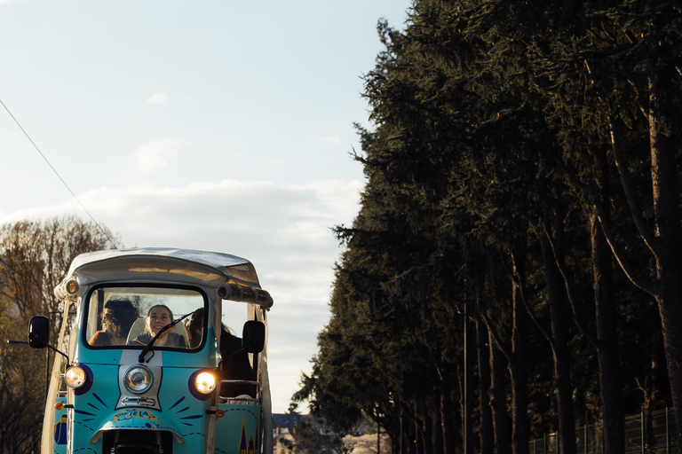 Angers: Fahrt an den Ufern der Loire im elektrischen Tuk Tuk