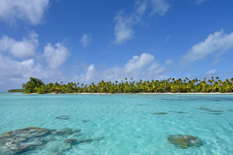 Private: Punta Cana to Catalina: Snorkeling, Beach & Buffet