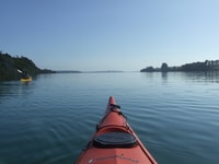 Auckland, Bioluminescence Kayak Tour by Night avec Tuition - Hizvo