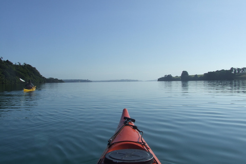 Auckland : Visite nocturne en kayak de la bioluminescence avec encadrementAuckland : Excursion nocturne en kayak à la recherche des bioluminescences avec cours