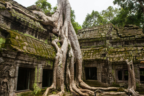1-Day Angkor Wat Sunrise Small Group Private Tour