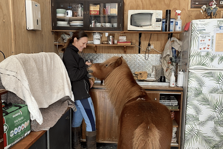 Gold Coast: Horse Whispering Experience Private Group Session