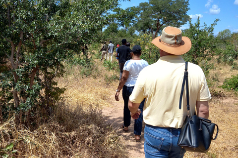 Livingstone: Mosi-oa-Tunya Park Safari and Zipline Tour