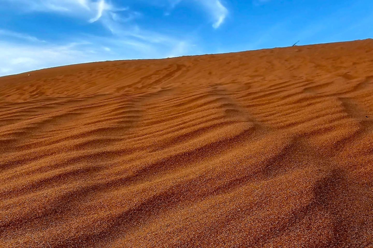 Riyadh:Red Sand Dunes camel ride&Quad&Sandboarding Adventure Private Tour with pick up and drop off from your location