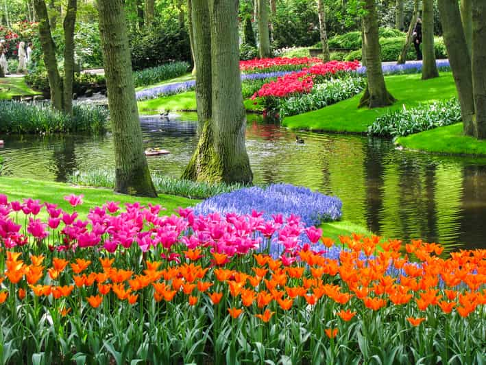 From Amsterdam: Keukenhof Entry and Roundtrip Shuttle Bus | GetYourGuide