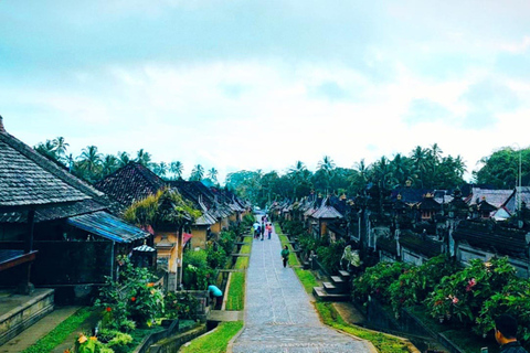 Avslöjande upplevelse Ubud, Penglipuran Village och vattenfallAvslöjande upplevelse Ubud för liten grupp