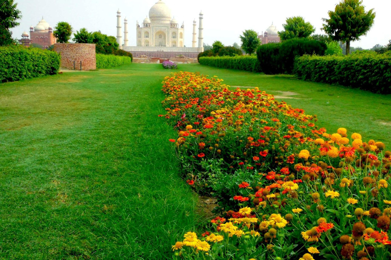 Vanuit Delhi: 4 Dagen Delhi -Agra -Jaipur TourAlleen Gids Service