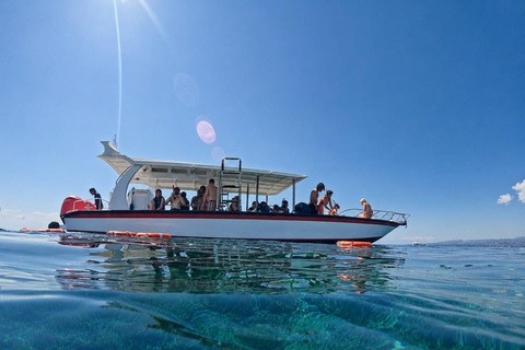 Nusa Penida Manta Snorkeling with Turtle & Beautiful Corals