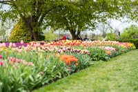 Privé Brandywine en Longwood Gardens Reding Tour - Housity