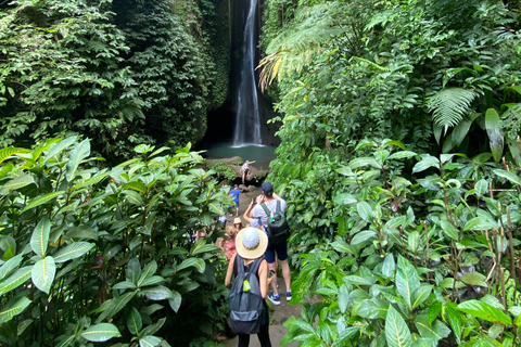Bali: Foresta delle Scimmie di Sangeh, cascata e tour del tempioBali: tour della foresta delle scimmie di Sangeh, cascata e tempio