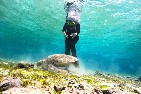 Snorkelen op de Gili eilanden dagvullende tourSnorkelen op Gili Trawangan, Gili Meno, Gili Air