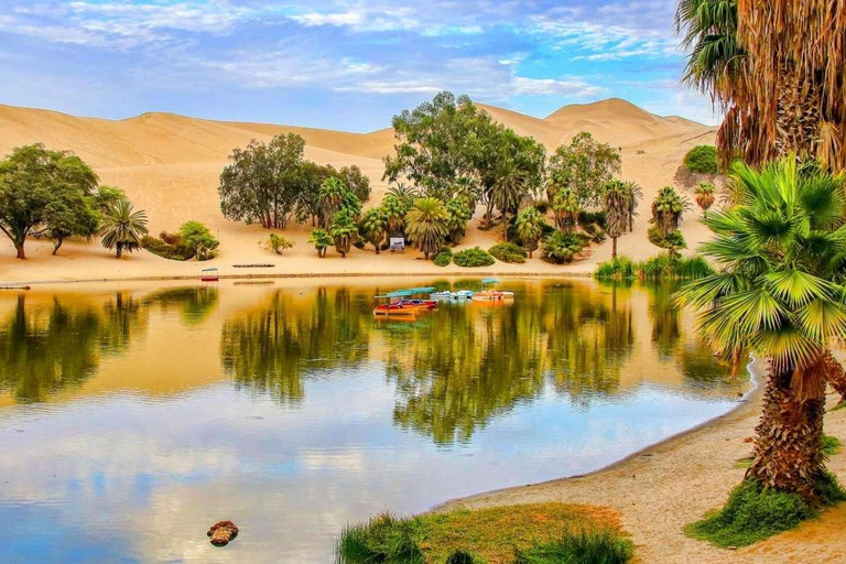 Paracas | Excursion to Ica and Huacachina oasis