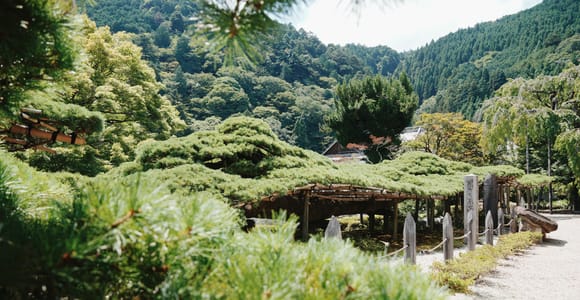 Secret West Kyoto: Bamboo Forests & Hidden Temples