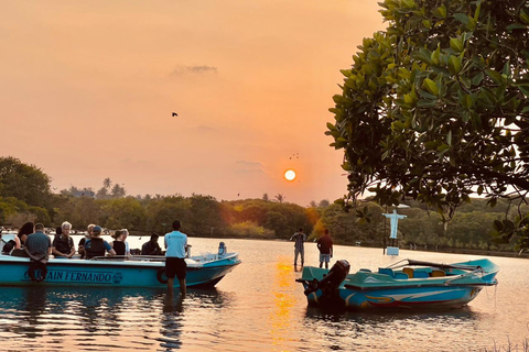 From Negombo: Boat Tour of Negombo Lagoon