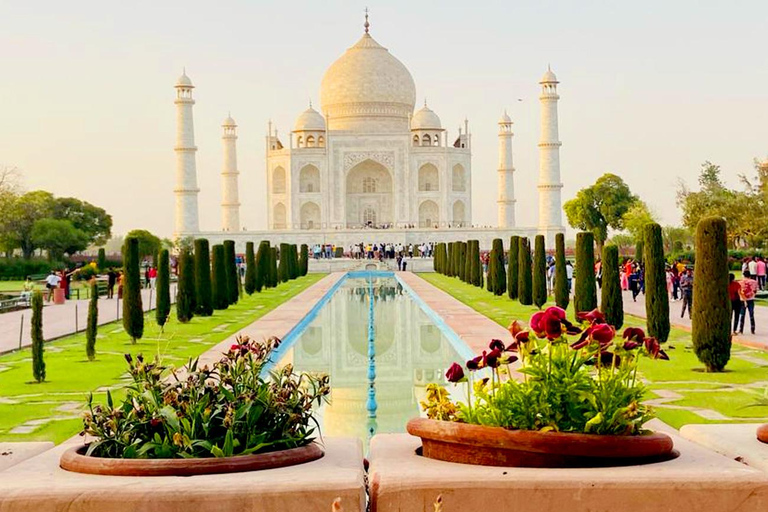 5-Day Private Golden Triangle Tour: Delhi, Agra, and Jaipur