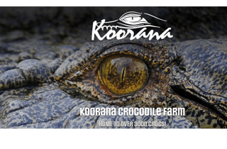 Rockhampton: Koorana Crocodile Farm Guided Tour