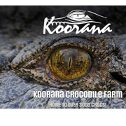 Rockhampton: Koorana Crocodile Farm Guided Tour
